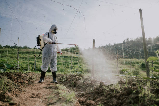Best Ant Control Services  in Southgate, KY