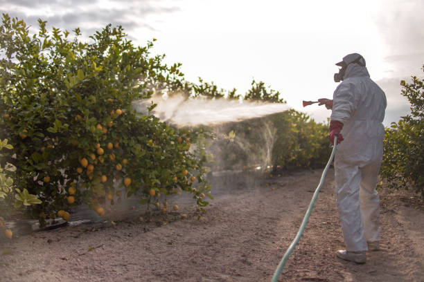 Pest Prevention Services in Southgate, KY