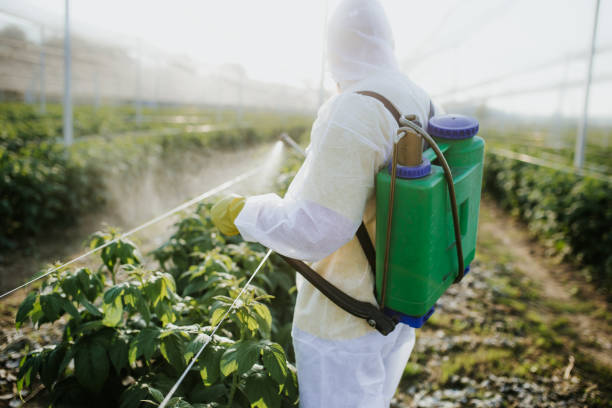 Professional Pest Control in Southgate, KY